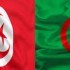 La coopération sécuritaire algéro-tunisienne “se déroule bien”